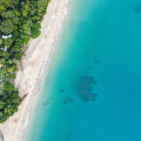 Le Cameleon Boutique Hotel Puerto Viejo de Talamanca Eksteriør bilde