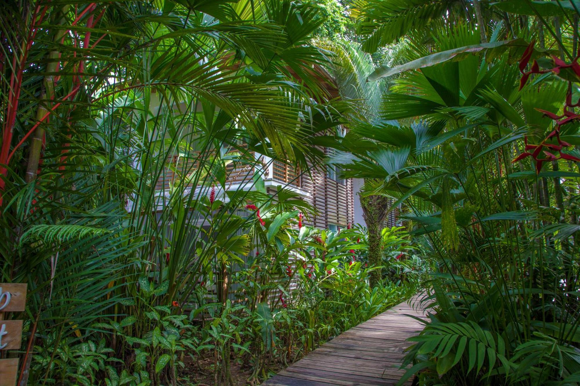 Le Cameleon Boutique Hotel Puerto Viejo de Talamanca Eksteriør bilde