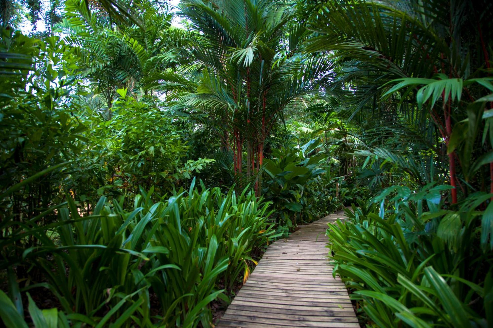 Le Cameleon Boutique Hotel Puerto Viejo de Talamanca Eksteriør bilde