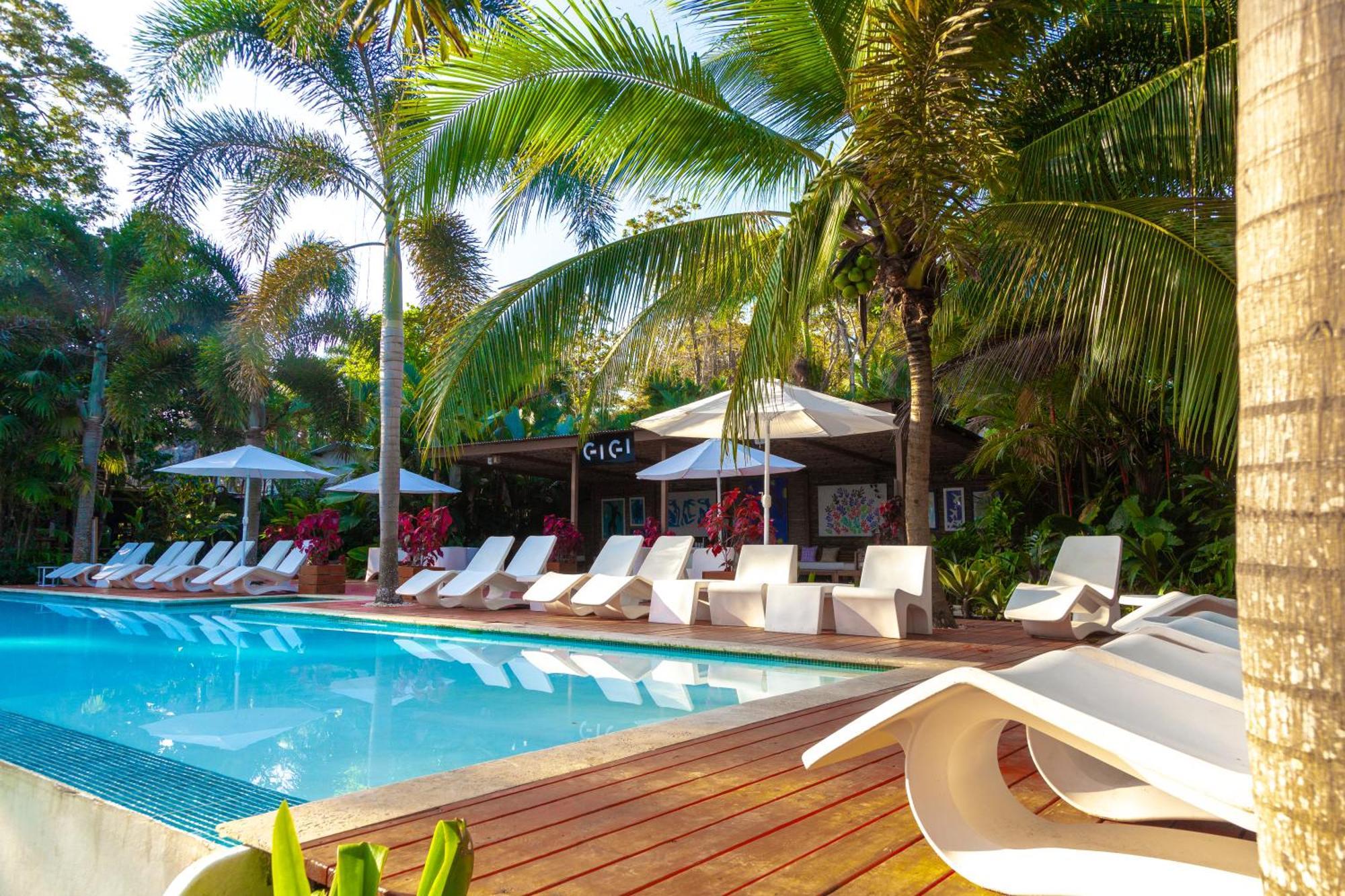 Le Cameleon Boutique Hotel Puerto Viejo de Talamanca Eksteriør bilde