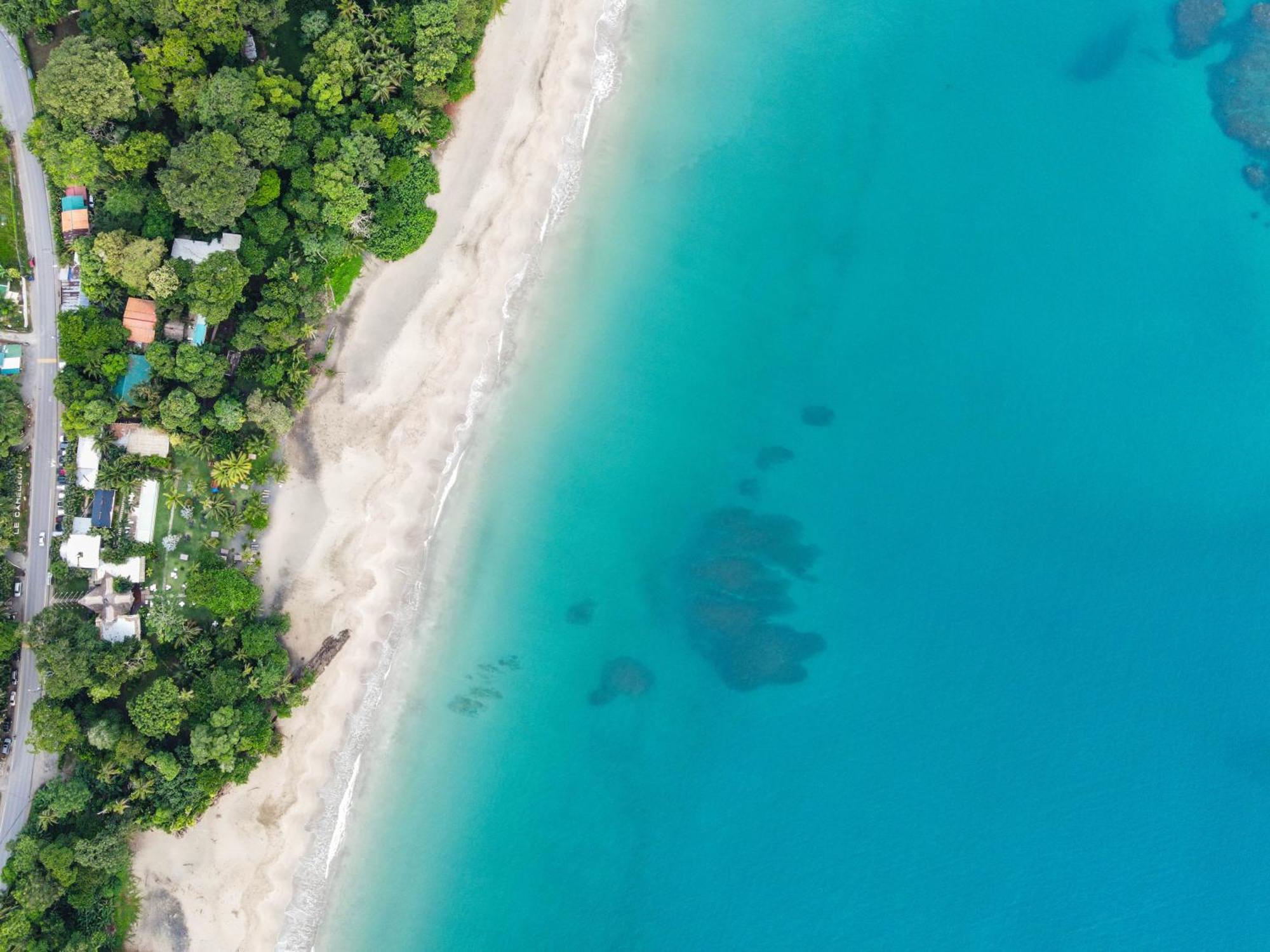 Le Cameleon Boutique Hotel Puerto Viejo de Talamanca Eksteriør bilde