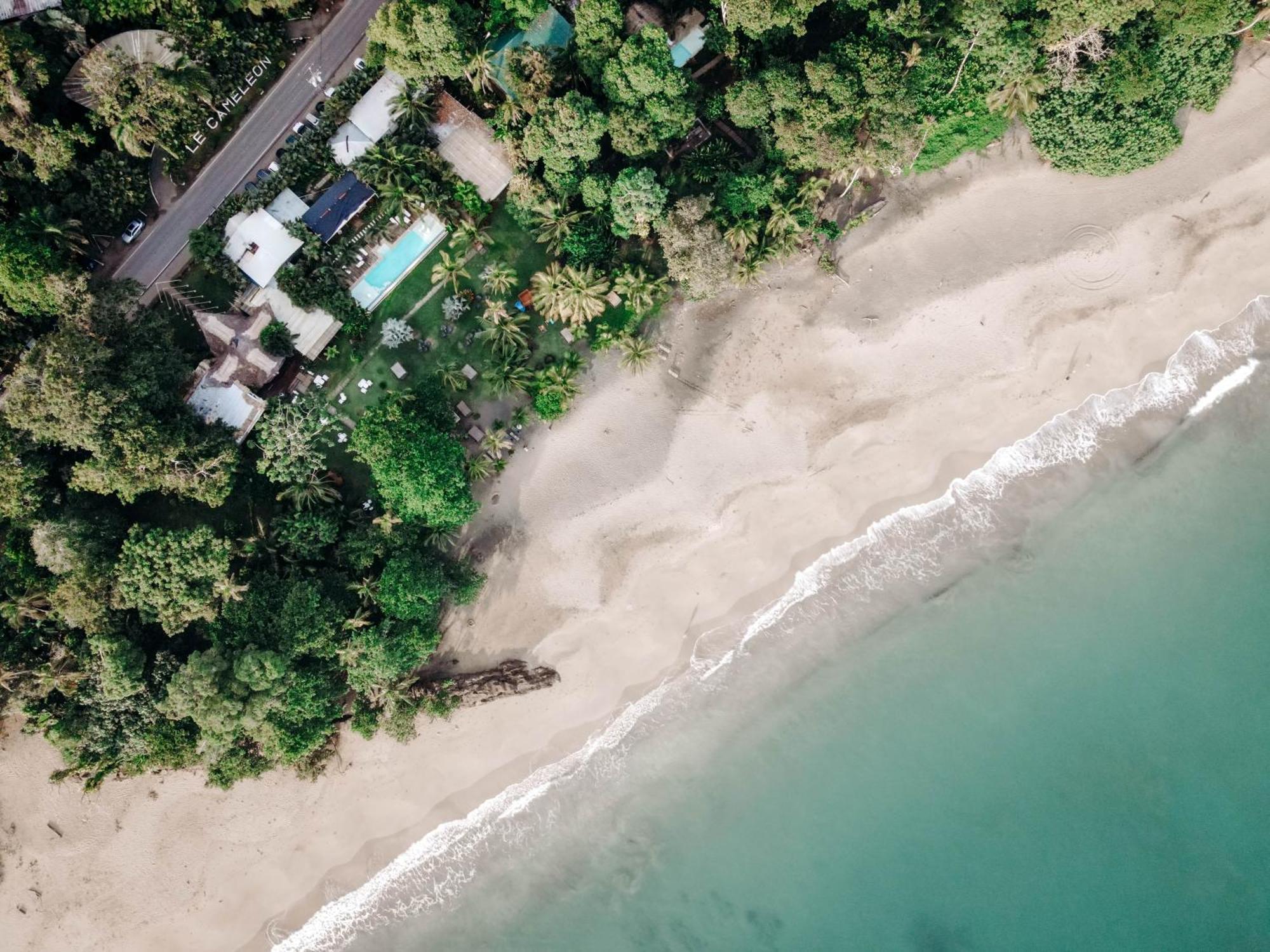 Le Cameleon Boutique Hotel Puerto Viejo de Talamanca Eksteriør bilde
