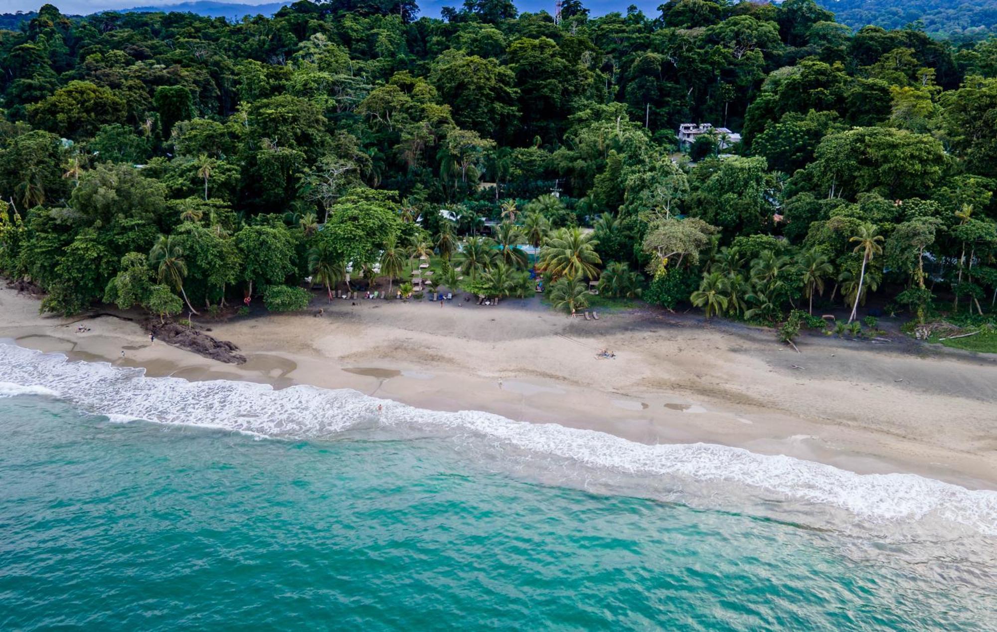 Le Cameleon Boutique Hotel Puerto Viejo de Talamanca Eksteriør bilde